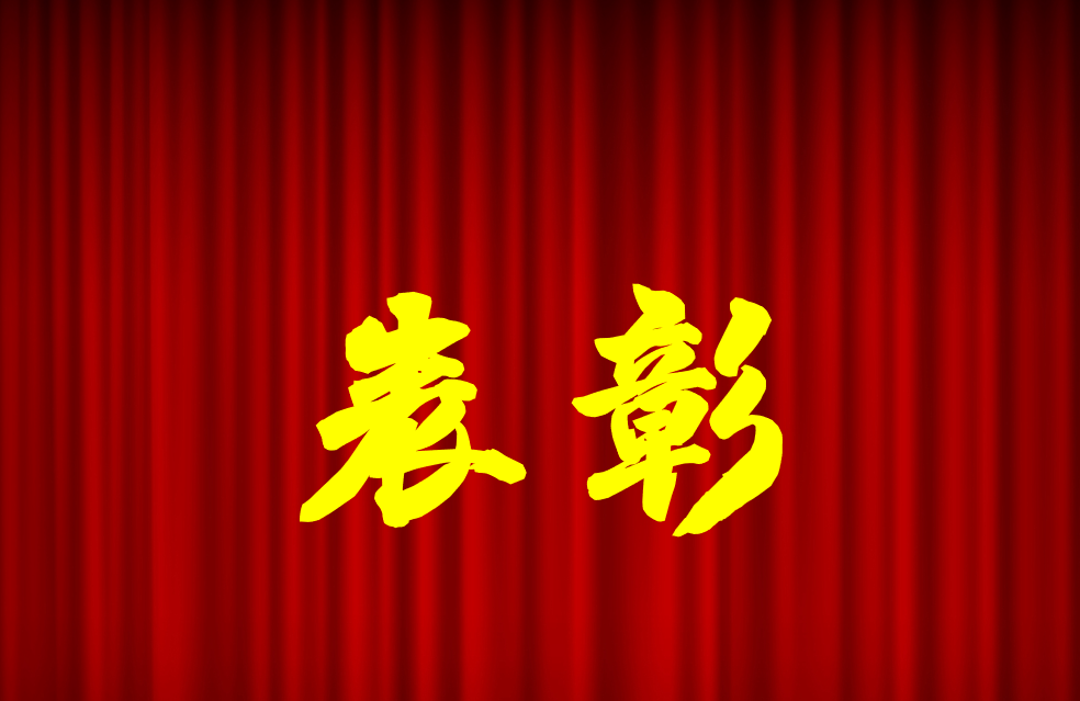 逐光前行、榮耀共鑒 | 公司2024年度表彰來(lái)啦！